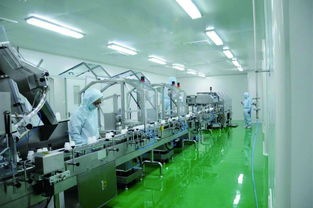 杭州雅琪 精英團隊，共創圖文設計之美