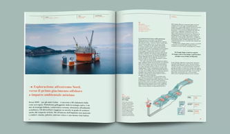 版式設(shè)計與軟件開發(fā) 探索雜志設(shè)計中的圖文編排藝術(shù)與技術(shù)實現(xiàn)